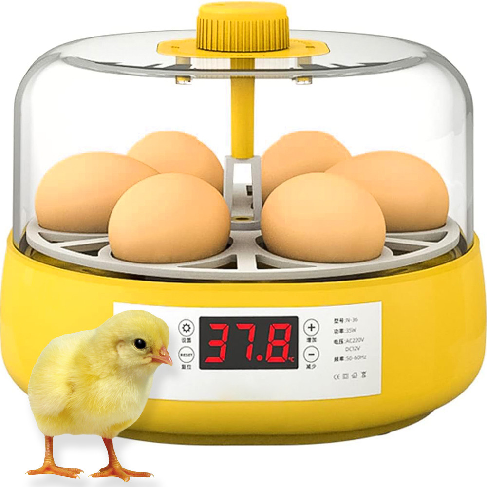 Kiaušinių inkubatorius vaikams, 6 kiaušiniai, automatinis temperatūros valdymas, edukacinis mini kiaušinių inkubatorius, mažas kiaušinių peryklos inkubatorius, inkubatoriaus aparatas kiaušiniams, vaikų kiaušinių perinimo inkubatorius