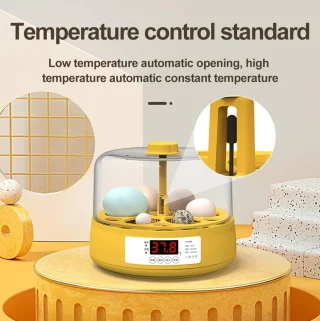 Kiaušinių inkubatorius vaikams, 6 kiaušiniai, automatinis temperatūros valdymas, edukacinis mini kiaušinių inkubatorius, mažas kiaušinių peryklos inkubatorius, inkubatoriaus aparatas kiaušiniams, vaikų kiaušinių perinimo inkubatorius 5