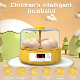 Kiaušinių inkubatorius vaikams, 6 kiaušiniai, automatinis temperatūros valdymas, edukacinis mini kiaušinių inkubatorius, mažas kiaušinių peryklos inkubatorius, inkubatoriaus aparatas kiaušiniams, vaikų kiaušinių perinimo inkubatorius 10