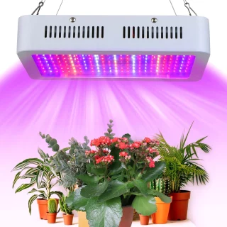 1000 W pilno spektro LED augalų auginimo lempa, 2 vnt. šiltnamių sodininkystei ir hidroponikai, LED lempa augalams, augalų lempa, augalų auginimo šviestuvas, LED šviestuvas augalams