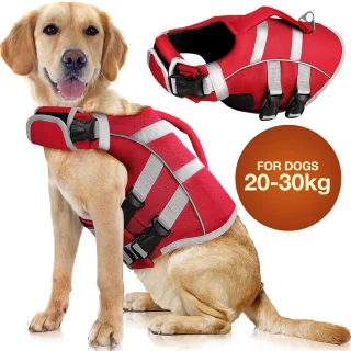 Šunų maudymosi kostiumas, maudymosi kostiumas šunims 20–30 kg, XL dydis, šunų plaukimo kostiumas, plaukimo kostiumas šunims