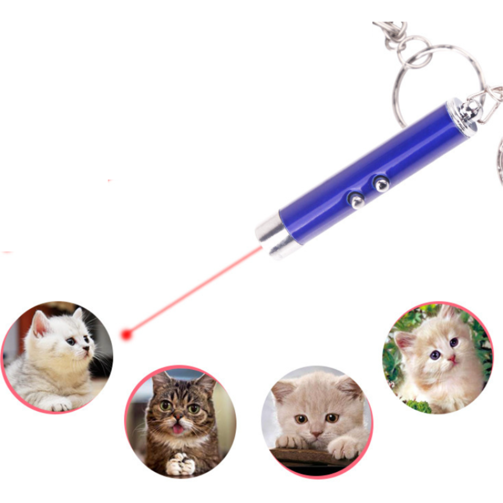 Kassi laserpointer, punane laserpliiats, kassi mängulaser