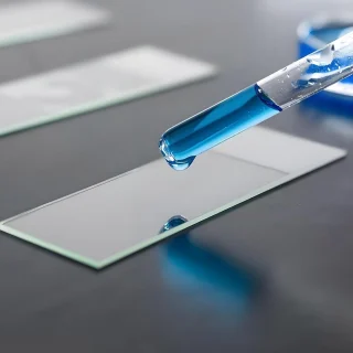 Mikroskoobi objektilauaklaasid lihvitud servadega, 50 tk, 76,2×25,4 mm, bioloogilised klaasist preparaadiklaasid, mikroskoobi klaasiklaasid, mikroskoobi objektilibliklaasid 3