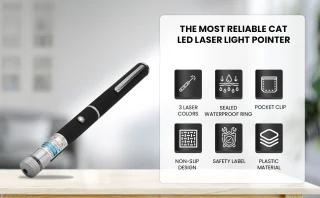 Punane laserpointer kassidele, laserpliiats kassimänguasjana, kasside laserlelumäng 3
