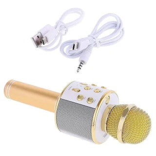 Bluetooth karaokemikrofon lastele, kuldne juhtmevaba karaoke mikrofon, laste karaoke laulumikrofon 2