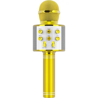 Bluetooth karaokemikrofon lastele, kuldne juhtmevaba karaoke mikrofon, laste karaoke laulumikrofon