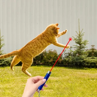 Kassi laserpointer, punane laserpliiats, kassi mängulaser 4